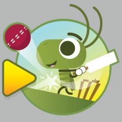 Doodle Cricket